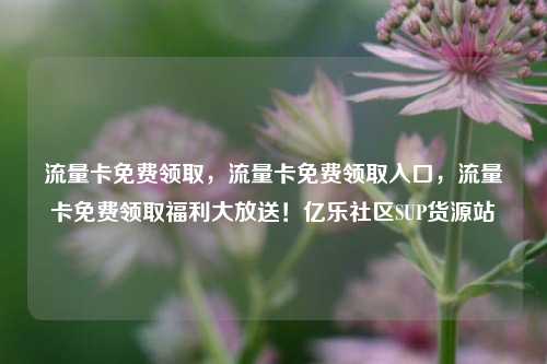流量卡免费领取，流量卡免费领取入口，流量卡免费领取福利大放送！亿乐社区SUP货源站  第1张