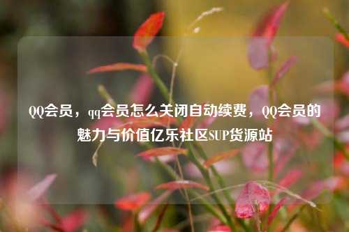 QQ会员，qq会员怎么关闭自动续费，QQ会员的魅力与价值亿乐社区SUP货源站  第1张