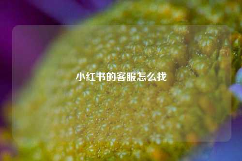 小红书的客服怎么找  第1张