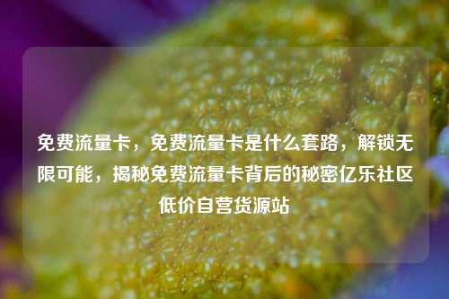 免费流量卡，免费流量卡是什么套路，解锁无限可能	，揭秘免费流量卡背后的秘密亿乐社区低价自营货源站  第1张