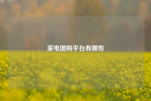 家电团购平台有哪些  第1张