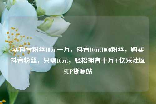 买抖音粉丝10元一万，抖音10元1000粉丝，购买抖音粉丝，只需10元，轻松拥有十万+亿乐社区SUP货源站  第1张