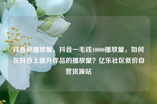抖音刷播放量，抖音一毛钱10000播放量	，如何在抖音上提升作品的播放量？亿乐社区低价自营货源站  第1张