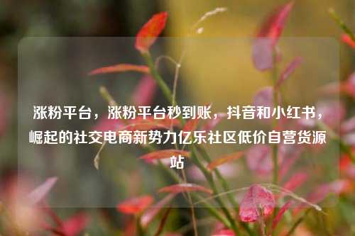 涨粉平台，涨粉平台秒到账，抖音和小红书，崛起的社交电商新势力亿乐社区低价自营货源站  第1张
