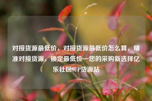 对接货源最低价，对接货源最低价怎么算，精准对接货源，锁定最低价—您的采购新选择亿乐社区SUP货源站  第1张