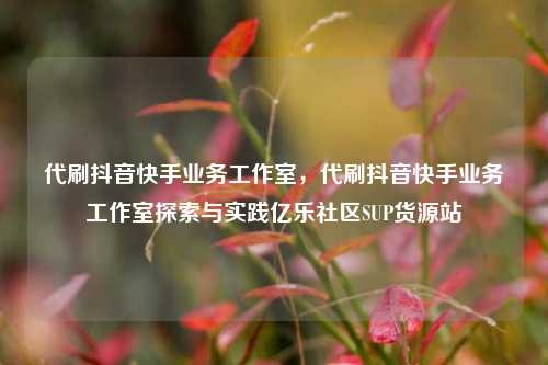 代刷抖音快手业务工作室，代刷抖音快手业务工作室探索与实践亿乐社区SUP货源站  第1张