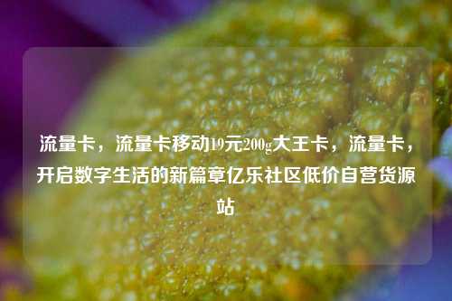 流量卡	，流量卡移动19元200g大王卡，流量卡，开启数字生活的新篇章亿乐社区低价自营货源站  第1张