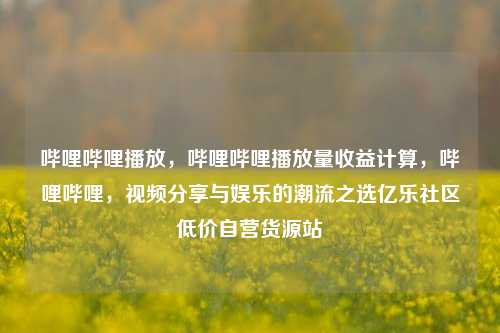 哔哩哔哩播放，哔哩哔哩播放量收益计算，哔哩哔哩，视频分享与娱乐的潮流之选亿乐社区低价自营货源站  第1张