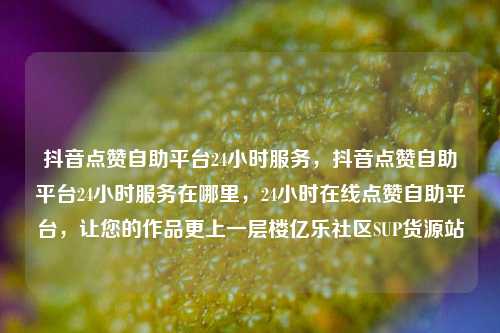 抖音点赞自助平台24小时服务，抖音点赞自助平台24小时服务在哪里，24小时在线点赞自助平台，让您的作品更上一层楼亿乐社区SUP货源站  第1张