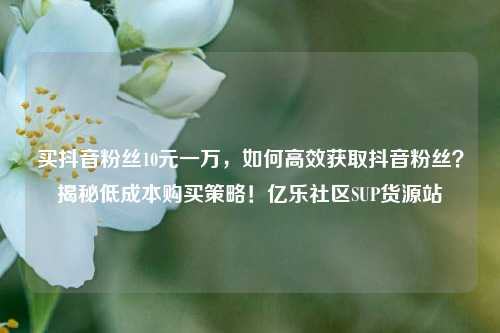 买抖音粉丝10元一万，如何高效获取抖音粉丝？揭秘低成本购买策略！亿乐社区SUP货源站  第1张