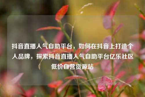 抖音直播人气自助平台	，如何在抖音上打造个人品牌，探索抖音直播人气自助平台亿乐社区低价自营货源站  第1张