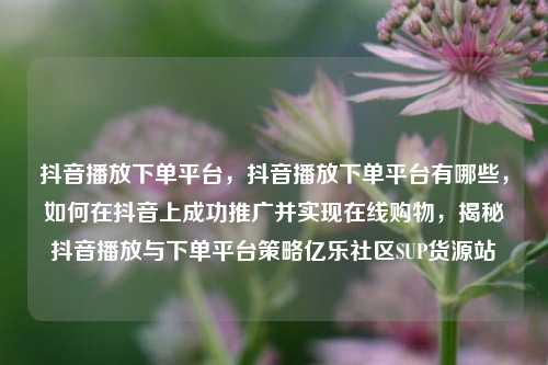 抖音播放下单平台	，抖音播放下单平台有哪些，如何在抖音上成功推广并实现在线购物，揭秘抖音播放与下单平台策略亿乐社区SUP货源站  第1张