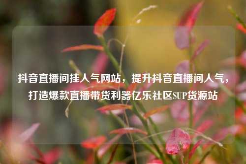 抖音直播间挂人气网站，提升抖音直播间人气，打造爆款直播带货利器亿乐社区SUP货源站  第1张