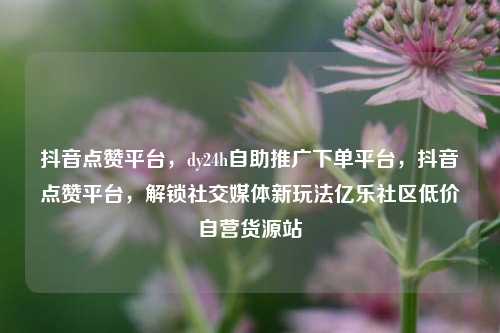 抖音点赞平台，dy24h自助推广下单平台	，抖音点赞平台，解锁社交媒体新玩法亿乐社区低价自营货源站  第1张