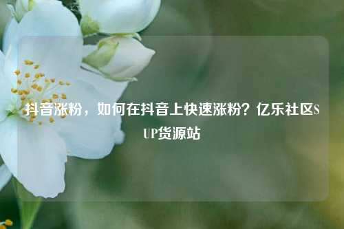 抖音涨粉，如何在抖音上快速涨粉？亿乐社区SUP货源站  第1张