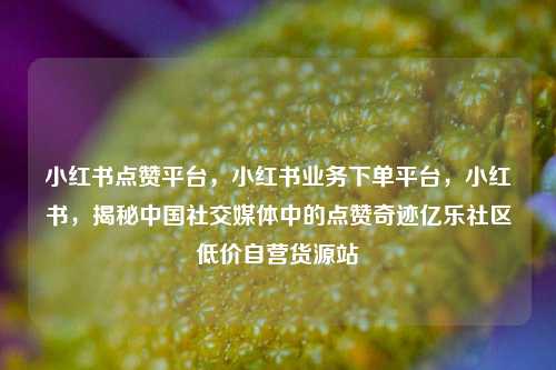 小红书点赞平台，小红书业务下单平台	，小红书，揭秘中国社交媒体中的点赞奇迹亿乐社区低价自营货源站  第1张