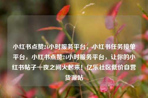 小红书点赞24小时服务平台，小红书任务接单平台，小红书点赞24小时服务平台	，让你的小红书帖子一夜之间火起来！亿乐社区低价自营货源站  第1张