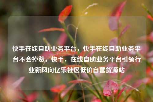 快手在线自助业务平台	，快手在线自助业务平台不会掉赞，快手，在线自助业务平台引领行业新风向亿乐社区低价自营货源站  第1张