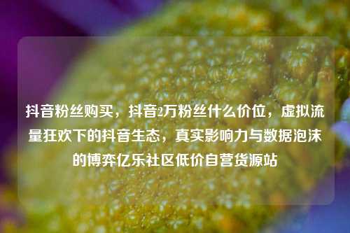 抖音粉丝购买，抖音2万粉丝什么价位，虚拟流量狂欢下的抖音生态，真实影响力与数据泡沫的博弈亿乐社区低价自营货源站  第1张