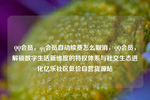 QQ会员，qq会员自动续费怎么取消，QQ会员	，解锁数字生活新维度的特权体系与社交生态进化亿乐社区低价自营货源站  第1张